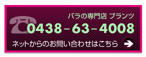 バラの専門店・プランツへのお問い合わせはこちらへ