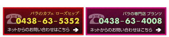 ローズヒップ＆プランツへのお問い合わせはこちらから